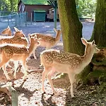 Bed & Breakfast La Bastide Heiloo