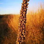 La Bastide Bed & Breakfast Heiloo