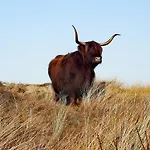 La Bastide Bed & Breakfast 3*