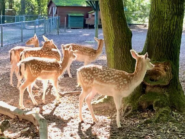 Bed and breakfast La Bastide Heiloo