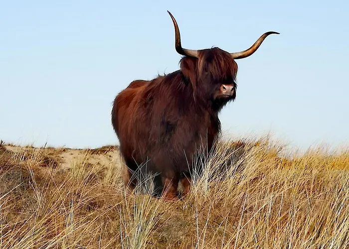 La Bastide Bed and breakfast 3*