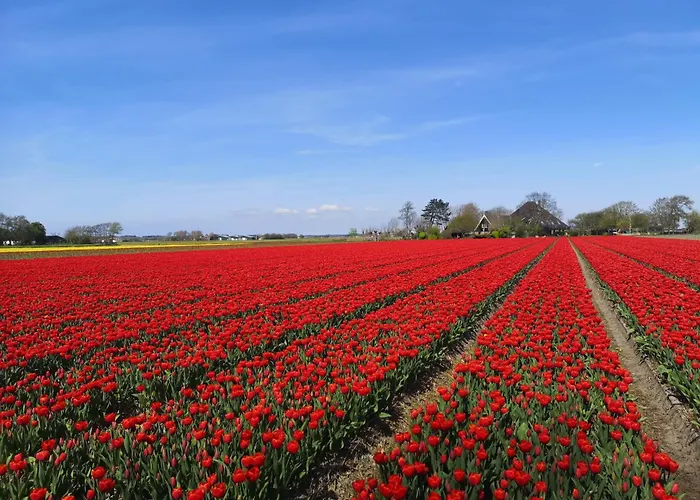 Bed and breakfast La Bastide